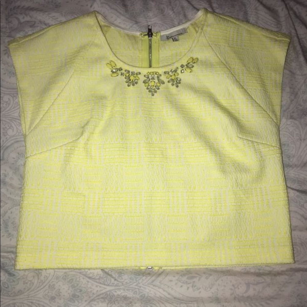 The clothing company crop top